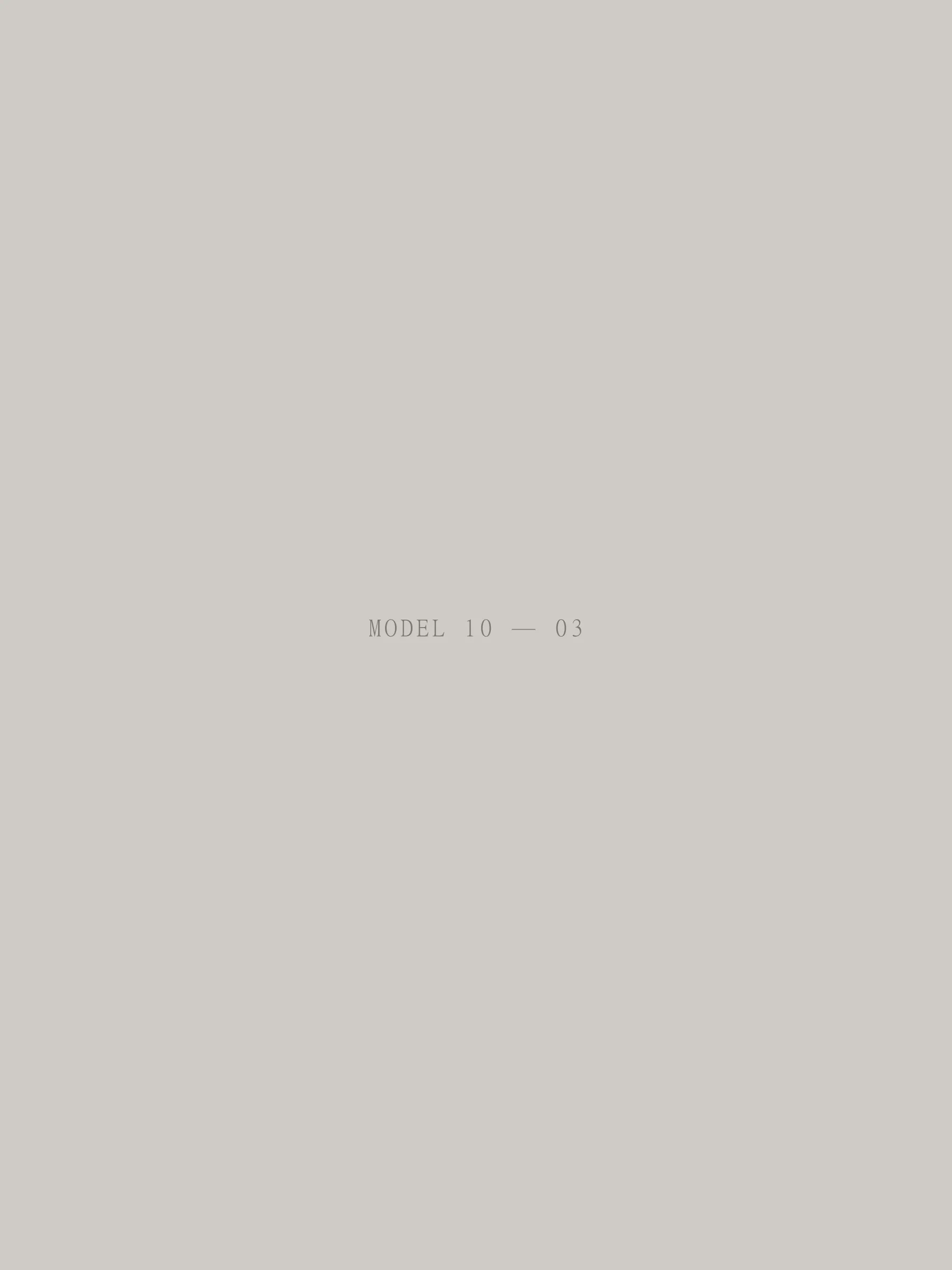 Model 10 — photo 2