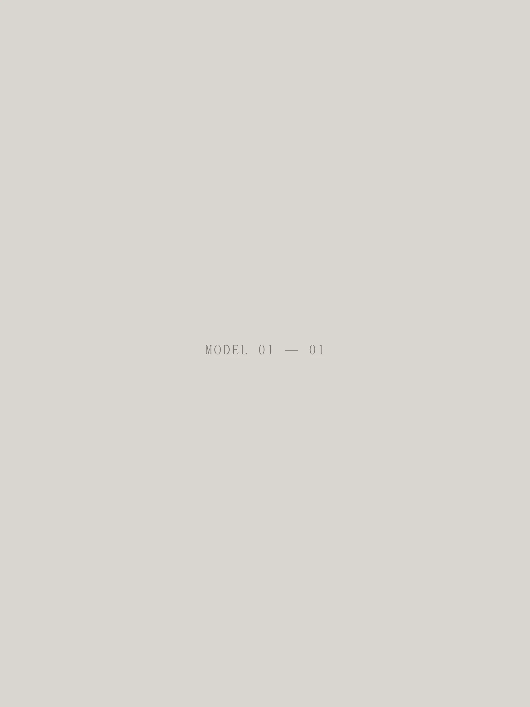 Model 01