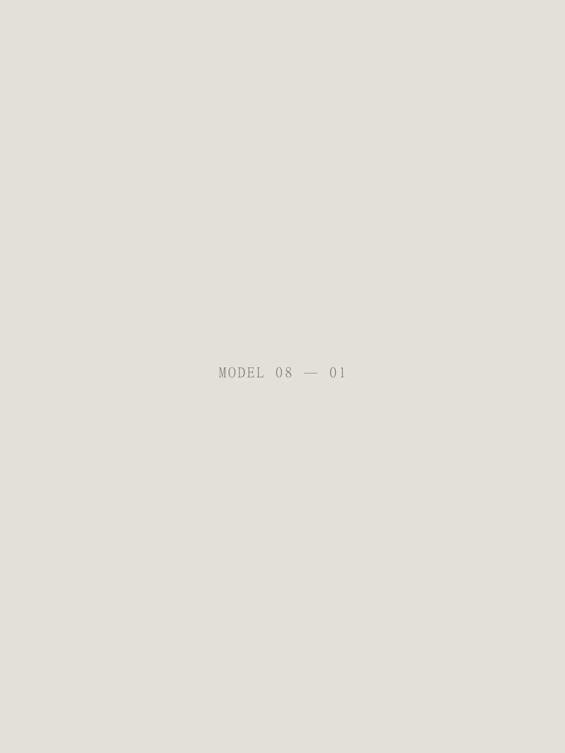 Model 08